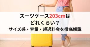 スーツケース203cmは どれくらい？ サイズ感・容量・超過料金を徹底解説