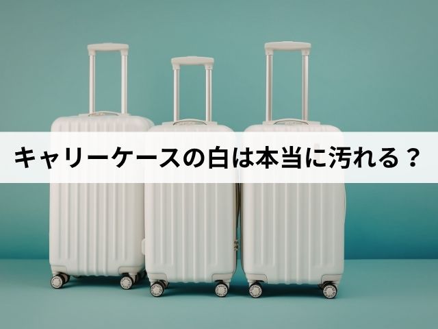 キャリーケースの白は本当に汚れる？